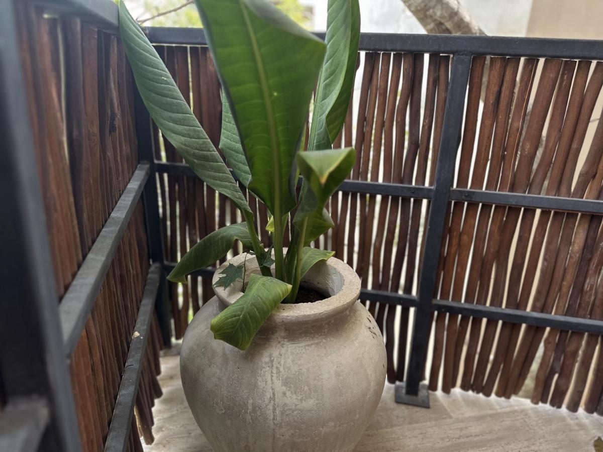 Ophelia Tulum Condo In Aldea Zama Exteriör bild