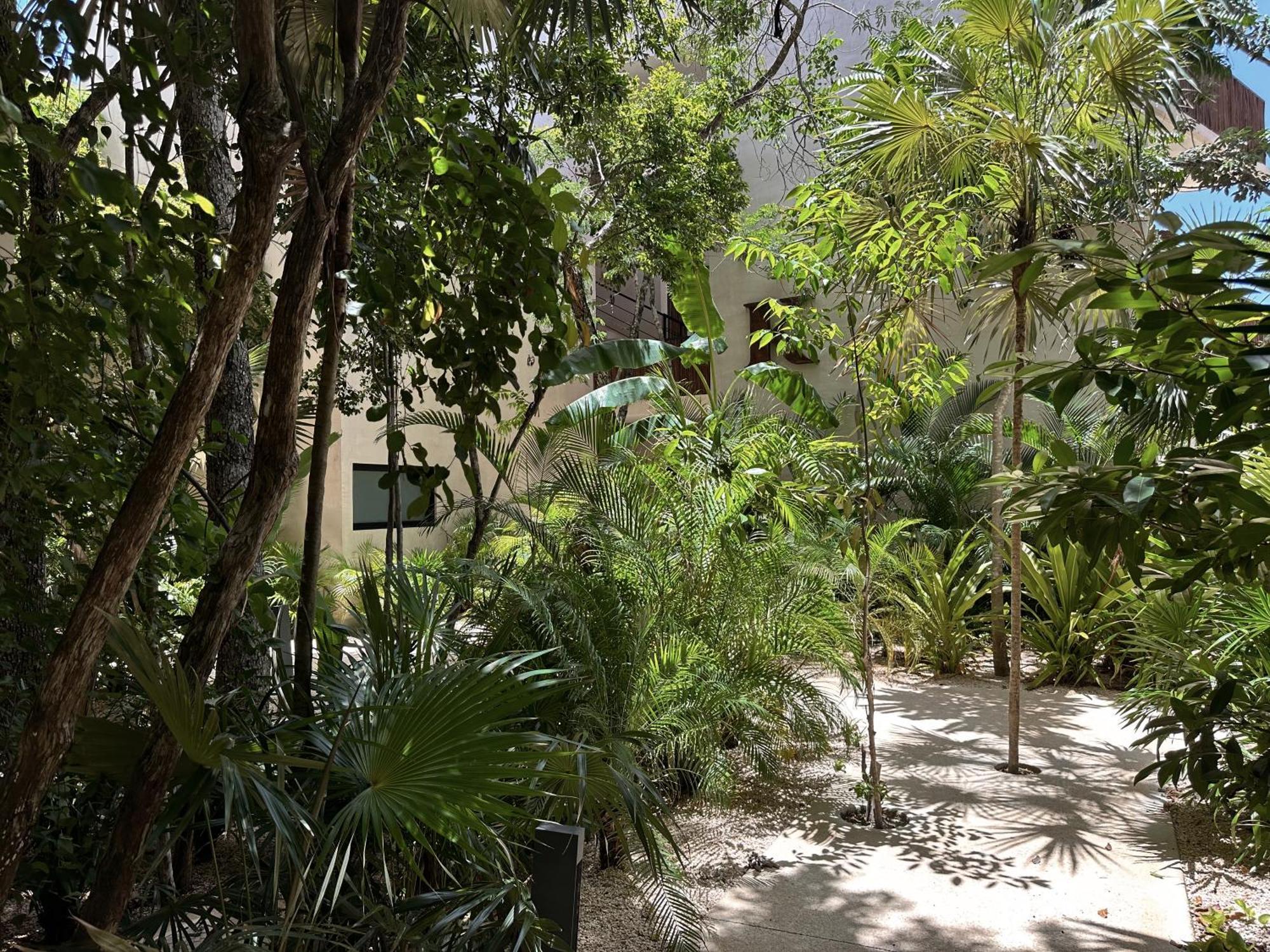 Ophelia Tulum Condo In Aldea Zama Exteriör bild