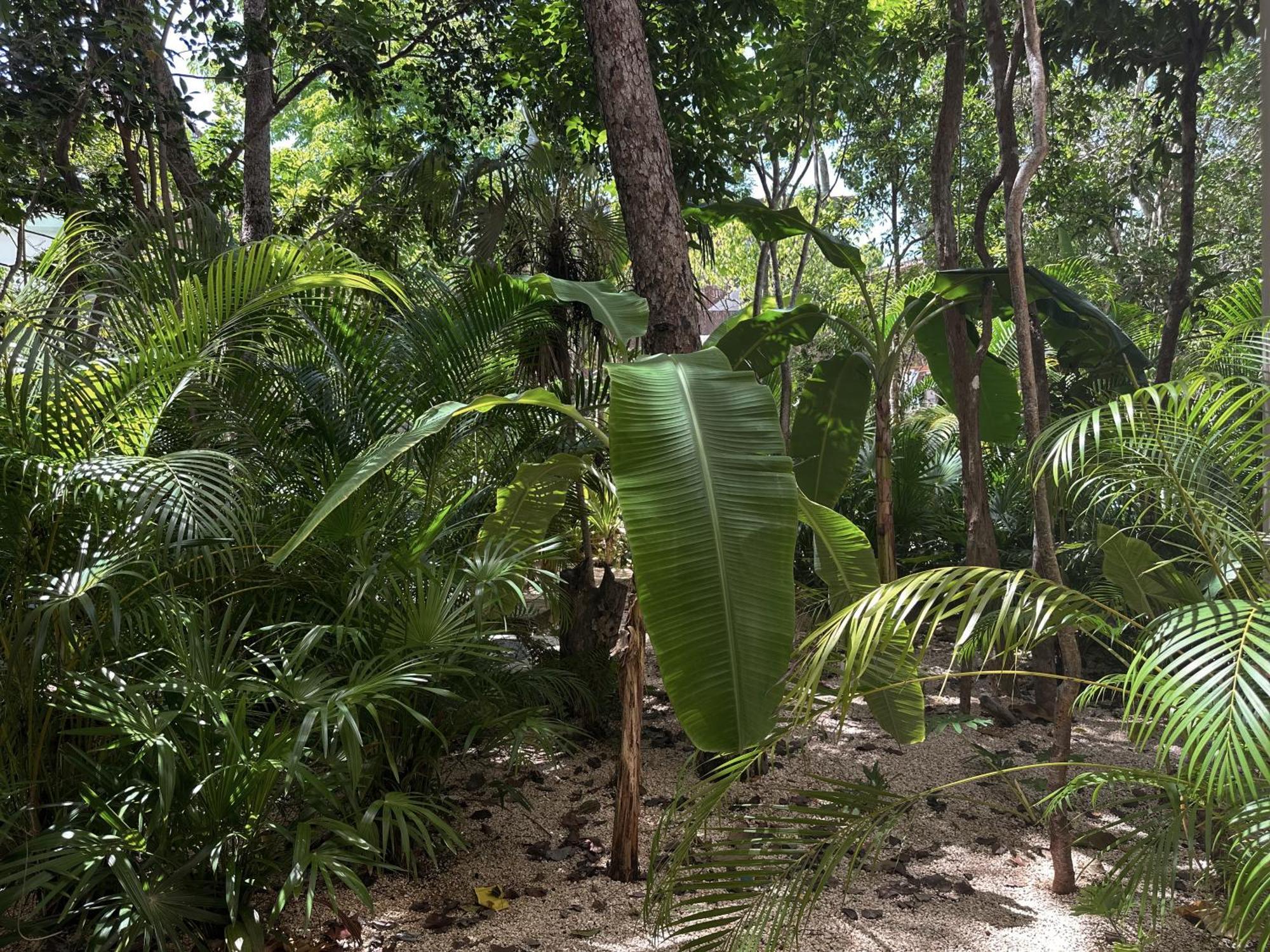 Ophelia Tulum Condo In Aldea Zama Exteriör bild